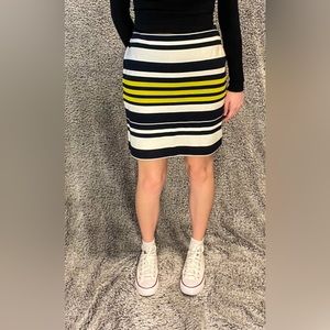 Ann Taylor Petite Skirt